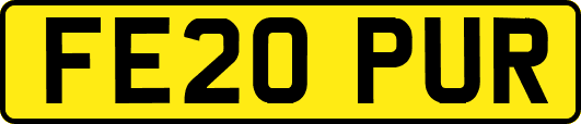 FE20PUR