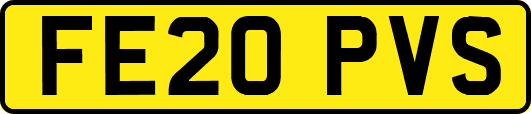 FE20PVS