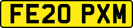 FE20PXM