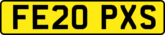 FE20PXS