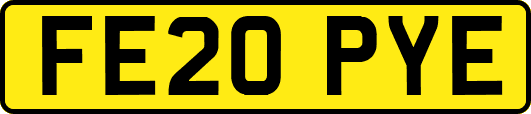 FE20PYE