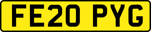 FE20PYG