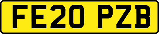 FE20PZB