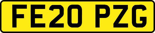 FE20PZG
