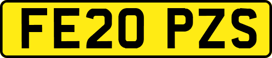 FE20PZS