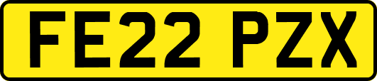 FE22PZX