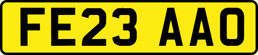 FE23AAO