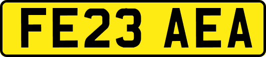 FE23AEA