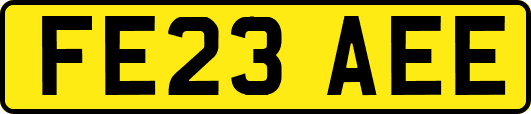 FE23AEE