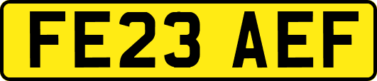 FE23AEF
