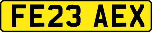 FE23AEX