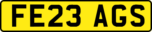 FE23AGS