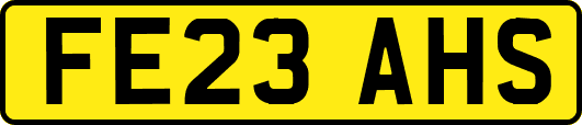 FE23AHS