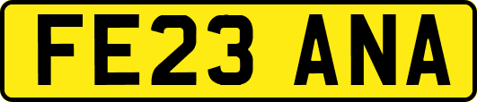 FE23ANA