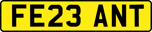 FE23ANT