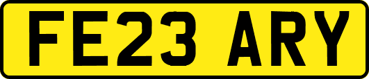 FE23ARY