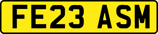 FE23ASM