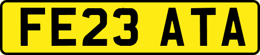 FE23ATA