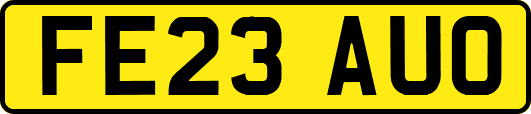 FE23AUO