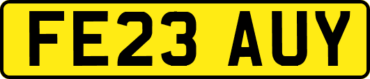 FE23AUY
