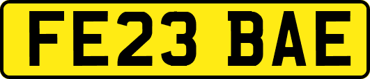 FE23BAE
