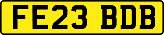 FE23BDB