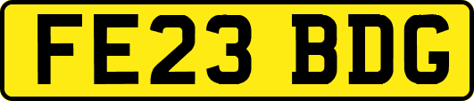 FE23BDG