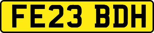 FE23BDH