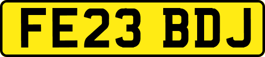 FE23BDJ