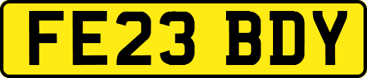 FE23BDY