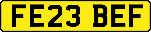 FE23BEF
