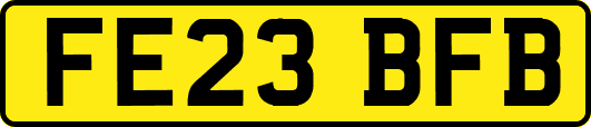 FE23BFB