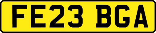 FE23BGA