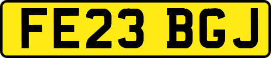 FE23BGJ