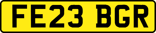 FE23BGR