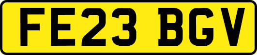 FE23BGV