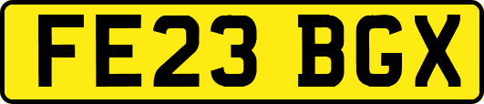 FE23BGX