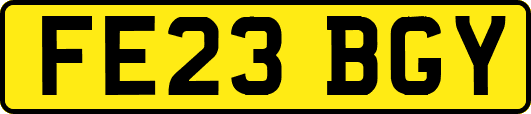 FE23BGY