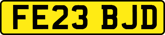 FE23BJD