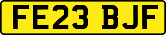 FE23BJF