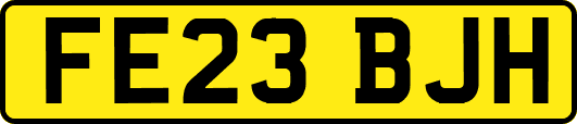FE23BJH