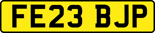 FE23BJP