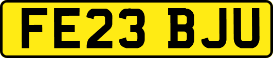 FE23BJU