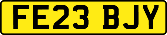 FE23BJY