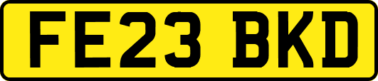 FE23BKD