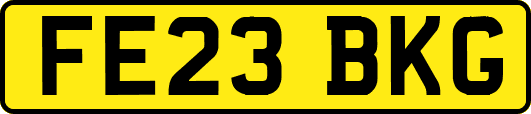 FE23BKG