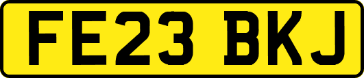 FE23BKJ