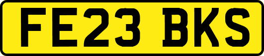 FE23BKS