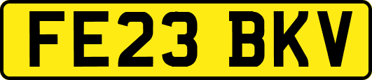 FE23BKV