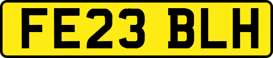 FE23BLH